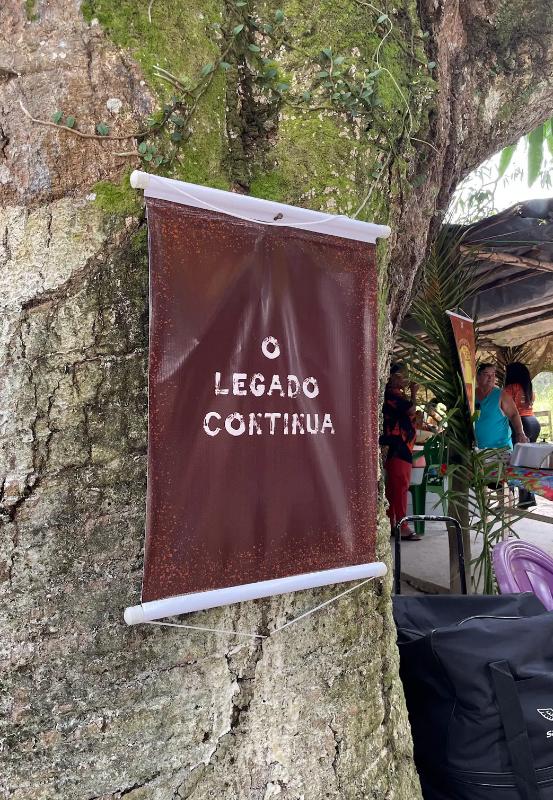olegadocintinua